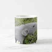 Ratty, die Gänseblümchen riechend Kaffeetasse (Mittel)