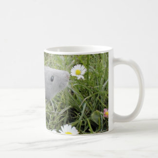 Ratty, die Gänseblümchen riechend Kaffeetasse