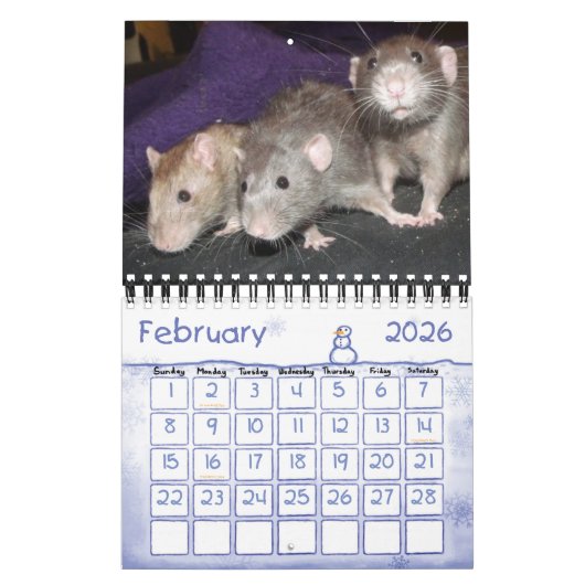 Ratty! (kleiner) Kalender (Feb 2026)