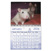 Ratty! (kleiner) Kalender (Jan 2026)