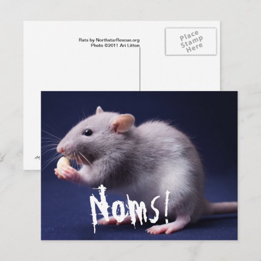 Ratty Lolz Postkarte (Vorne/Hinten)