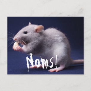 Ratty Lolz Postkarte