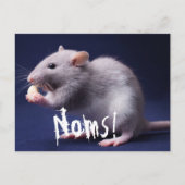 Ratty Lolz Postkarte (Vorderseite)