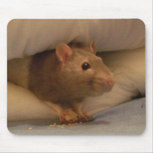 ratty mousepad