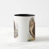 Rau-mit Beinen versehene Bussard Gould Vögel von Tasse (Zentrum)
