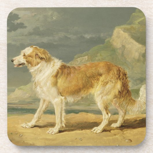 Rau-überzogener Collie, 1809 (Öl an Bord) Getränkeuntersetzer (Vorderseite)