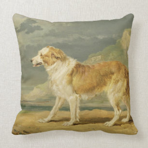 Rau-überzogener Collie, 1809 (Öl an Bord) Kissen