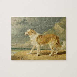 Rau-überzogener Collie, 1809 (Öl an Bord) Puzzle