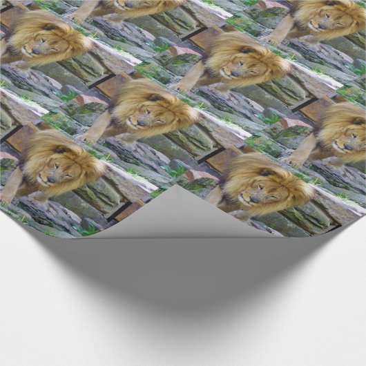 Raub Geschenkpapier (Ecke)