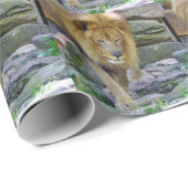 Raub Geschenkpapier (Rolleneckpunkt)