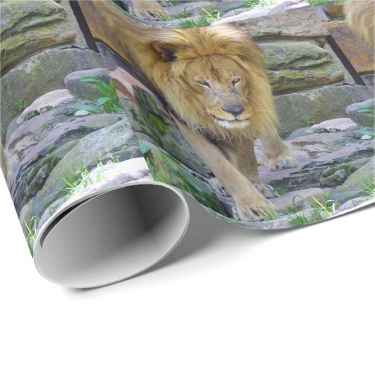 Raub Geschenkpapier (Rolleneckpunkt)