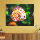 Raubfisch Leinwanddruck (Insitu (Wohnzimmer))