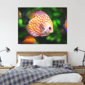 Raubfisch Leinwanddruck (Insitu (Schlafzimmer))