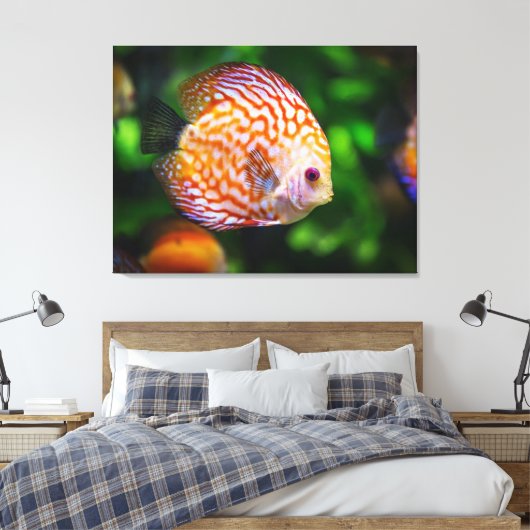 Raubfisch Leinwanddruck (Insitu (Schlafzimmer))