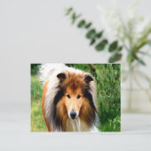 Raubhund zieht in die Liebe Postkarte (Stehend Vorderseite)