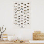 Raubkatzen - Naturalist's Library Poster (Küche)