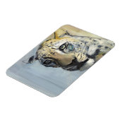 Raubtier Magnet (Linke Seite)