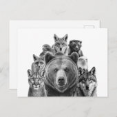 Raubtiere aus Holz in Nordamerika Postkarte (Vorne/Hinten)