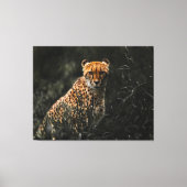 Raubtiere oder Raubtiere Leinwand Art (Vorderseite)