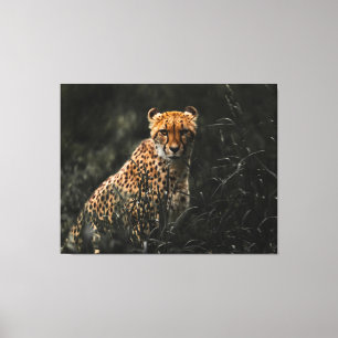 Raubtiere oder Raubtiere Leinwand Art
