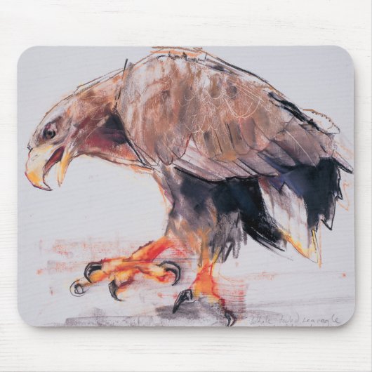 Raubvogel 2001 mousepad (Vorne)