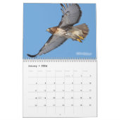 Raubvögel 2010 Kalender (Jan 2026)