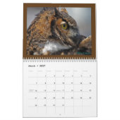 Raubvögel 2010 Kalender (Mär 2027)