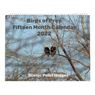 Raubvögel 2022 Fünfzehnmonatskalender Kalender