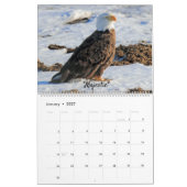 Raubvögel 2022 Fünfzehnmonatskalender Kalender (Jan 2027)
