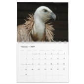 Raubvögel 2024 kalender (Feb 2027)