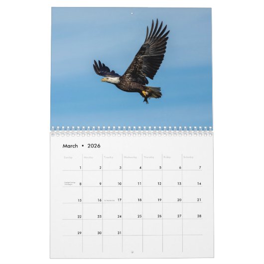 Raubvögel 2026 kalender (Mär 2026)