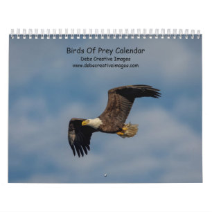 Raubvögel 2026 kalender