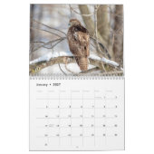 Raubvögel 2026 kalender (Jan 2027)