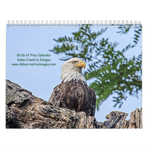Raubvögel 2026 kalender