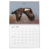 Raubvögel 2026 kalender (Mär 2027)