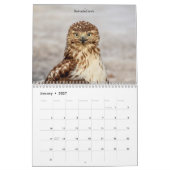 Raubvögel 2026 kalender (Jan 2027)