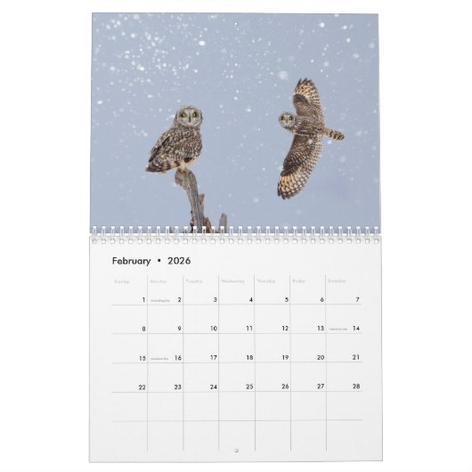 Raubvögel 2026 kalender (Feb 2026)