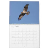 Raubvögel 2026 kalender (Mär 2027)