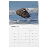 Raubvögel 2026 kalender (Jan 2027)