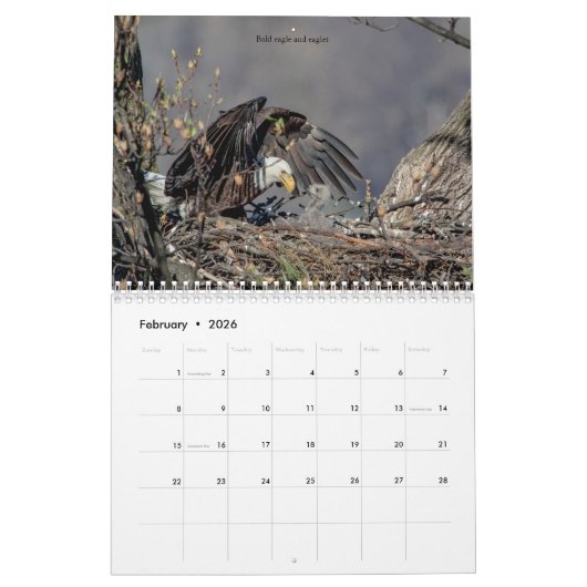 Raubvögel 2026 kalender (Feb 2026)