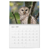 Raubvögel 2026 kalender (Mär 2027)