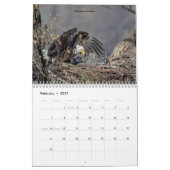 Raubvögel 2026 kalender (Feb 2027)