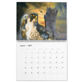 Raubvögel 2 Kunst-Kalender Kalender (Mär 2027)
