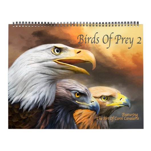 Raubvögel 2 Kunst-Kalender Kalender (Titelbild)
