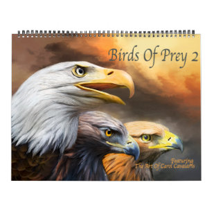 Raubvögel 2 Kunst-Kalender Kalender