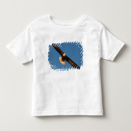 Raubvogel, Adler im Flug, Kachemak Kleinkind T-shirt (Vorderseite)