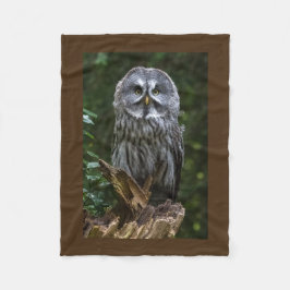 Raubvögel Eulenphotographie des großen Graus Fleecedecke