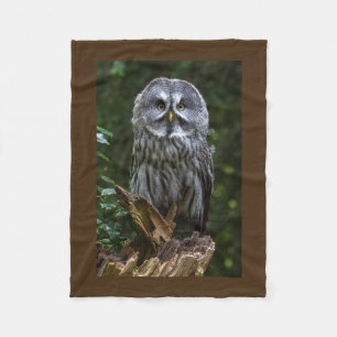 Raubvögel Eulenphotographie des großen Graus Fleecedecke