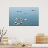 Raubvögel F-22 Poster (Küche)