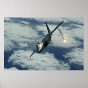 Raubvogel F-22 Poster